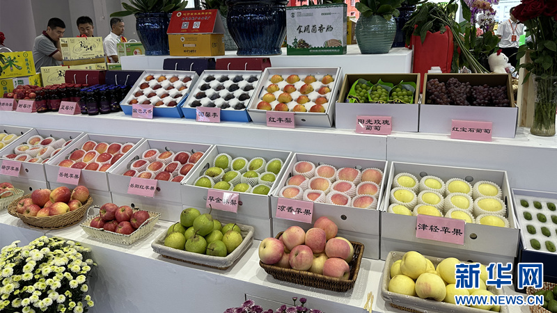 现代农业之光：农产品种植基地引领绿色风暴