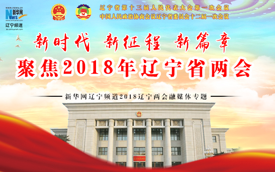 辽宁省政协委员宋凯:2018年让辽宁动起来