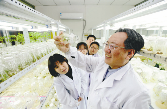 实施盛京人才战略 谱写人才强市新篇