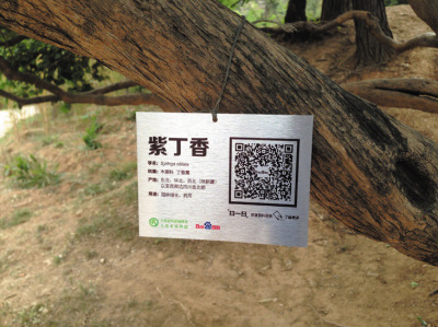 大连名贵植物有了二维码身份证