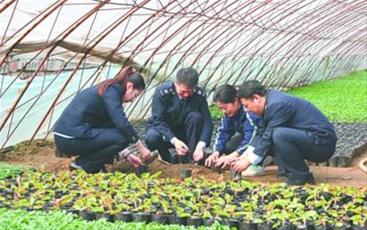 铁岭:惠农政策送进大棚