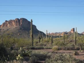 中500万大奖能干啥? 美国西部无人小镇当地主