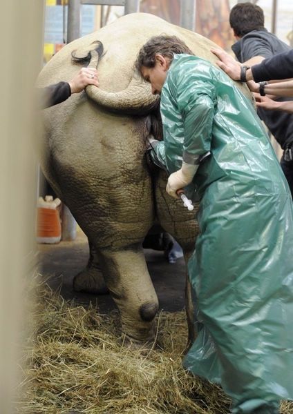 景区月薪2万招含香少女采花 盘点全世界奇葩