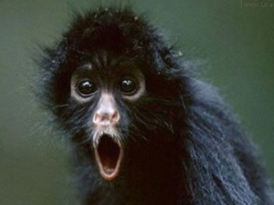 <em>姐妹互换丈夫</em>:姐夫小姨子私奔__新华网辽宁频