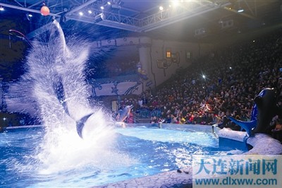 圣亚海洋世界迎来客流小高峰