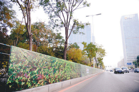 绿化带穿防护衣