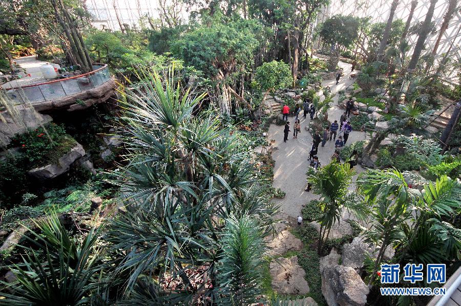 青岛世园会即将开园试运行