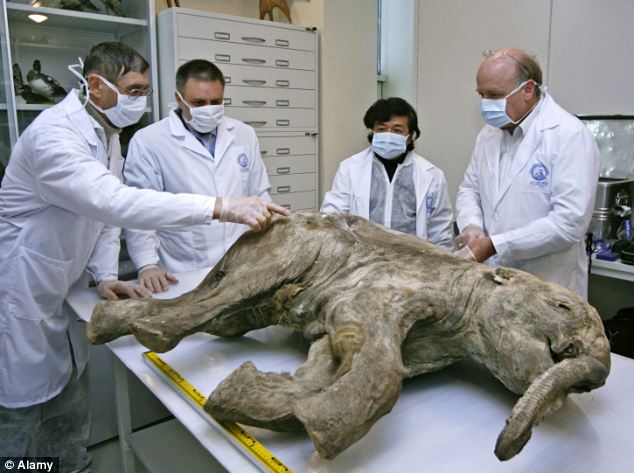 全球最完整长毛象在英展出