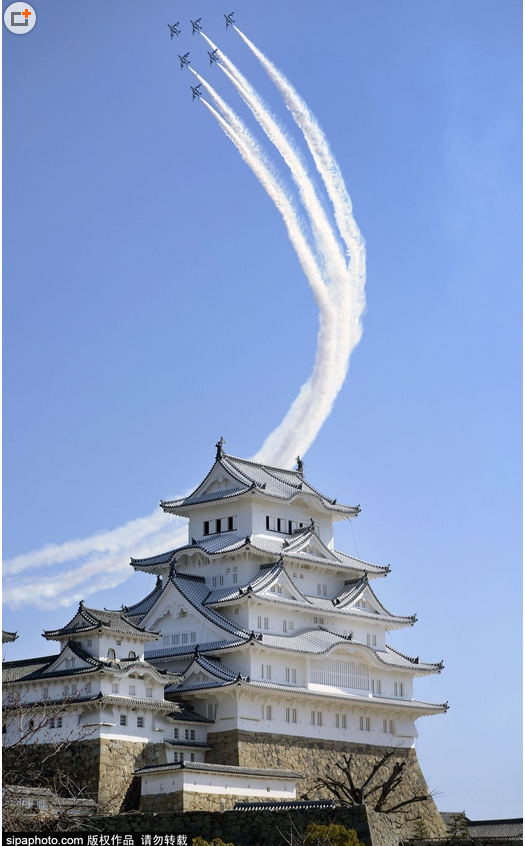 日本飞机空中表演现樱花状尾迹云