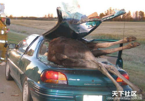 那些不可思议的<em>车祸现场</em>__新华网辽宁频道