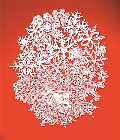 羊 气单品陪你过羊年