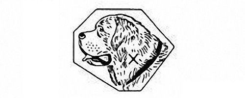 玩表必备:腕表贵金属印记攻略