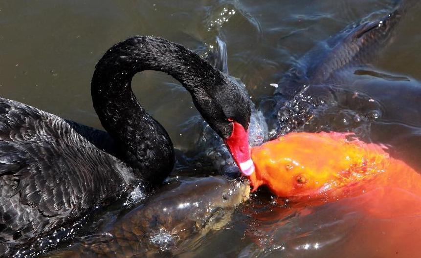 每日邮报:验血新方法可快速诊断常见癌症