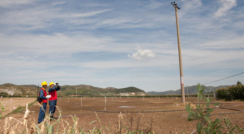 公司多措并举确保抗旱用电需求