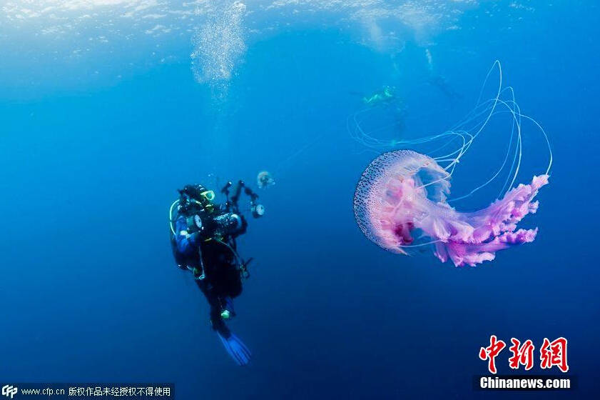 河南<em>城管</em>上演少林武功 飞腿<em>锁喉</em>群殴摆摊<em>姐妹</em>