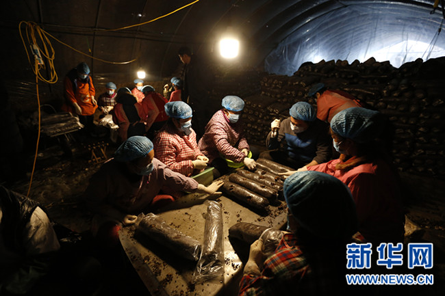 强化党建 “80后”村干部基层扎根