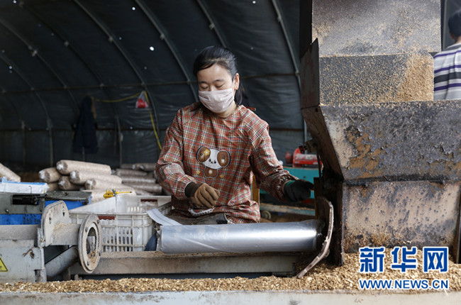 乡村振兴 十九大精神提振信心