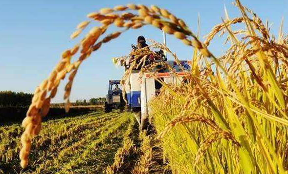 解读辽宁省委一号文件 为全省乡村振兴把脉开