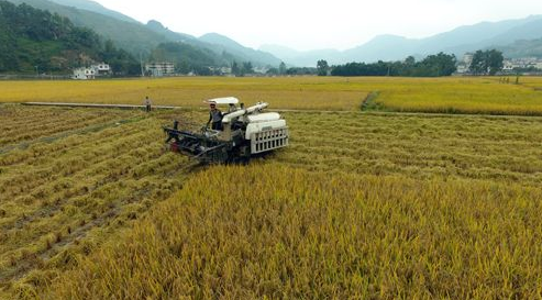 辽宁:实施乡村振兴战略 打好精准脱贫攻坚战