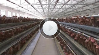 【视频】辽宁省374个农村集体产权制度改革试