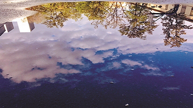 沈阳昨日喜雨:举首天挂虹 低头水映穹