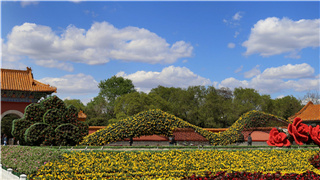 沈阳文广局:创城为媒打造文化软环境