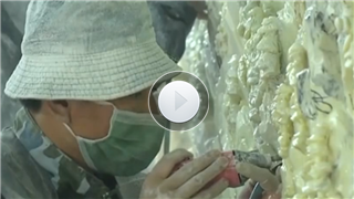 【视频】鞍山岫岩:巧手绘宏图 玉雕放光彩