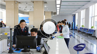 国家税务总局辽宁省税务局挂牌成立