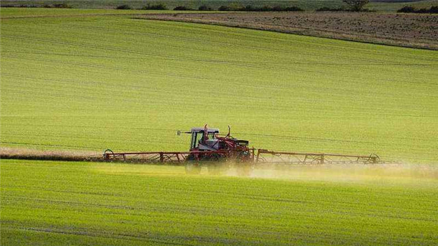 辽宁五年增加耕地8000公顷粮食增产6亿公斤