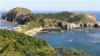 大连市完成绿盾2018自然保护区违法违规问题