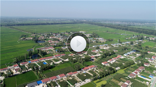 【视频】秦春芝:以认养农业为主导 促进乡村