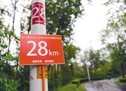 解密2018沈阳马拉松赛道日臻完善的背后