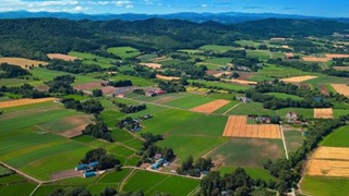 辽宁乡村振兴战略五年规划印发 到2022年三产