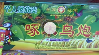 【实况】沈阳2019年春节烟花爆竹燃放时间公视频2013安装教程图片