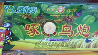 【视频】沈阳2019年春节烟花爆竹燃放时间公