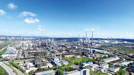 加快结构转型升级推动高质量发展 抚顺石化20