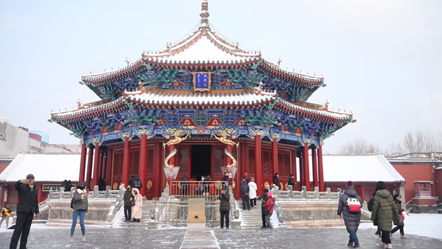 【视频】雪落盛京 一场雪唤醒沈阳的美