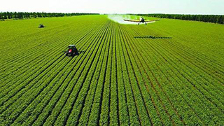 辽宁出台方案确保耕地地力保护补贴精准发放