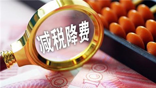减税降费政策落地 大连市税务局为企业送上大