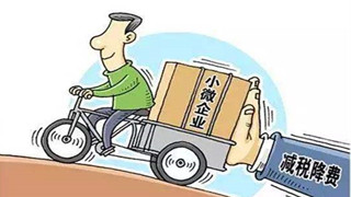 大连市小微企业点赞减税降费政策落地