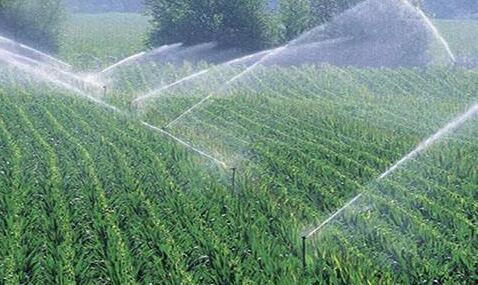 辽宁力争完成265.8万亩农业水价综合改革