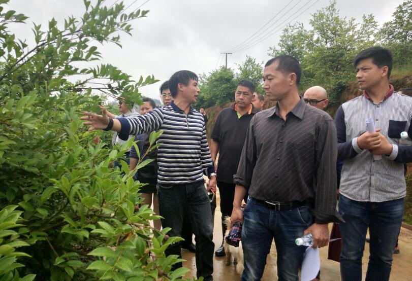 铁岭771名农民大学生乡村振兴挑大梁