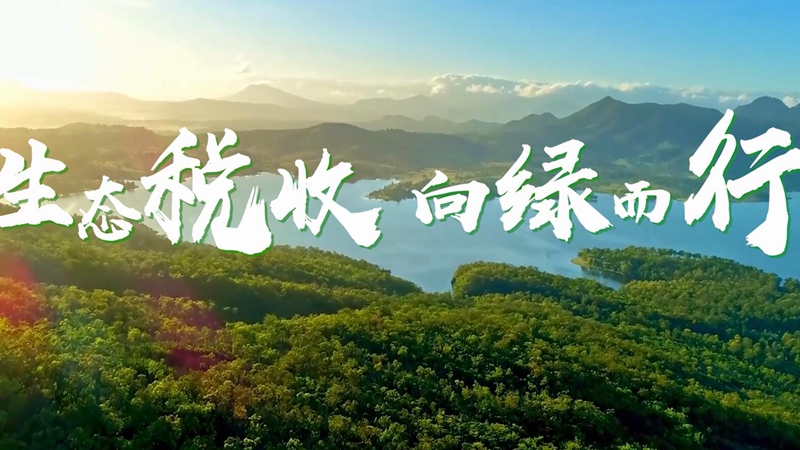 【视频】生态税收 向绿而行
