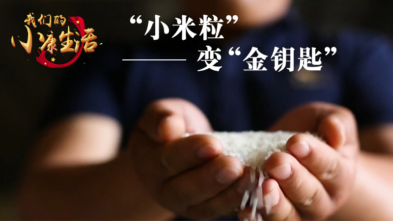 &ldquo;小米粒&rdquo;變&ldquo;金鑰匙&rdquo;