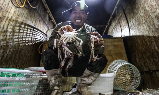 &ldquo;海上牧場&rdquo;豐收啦