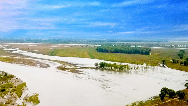 鳥瞰遼河:碧水清波 綠意盎然