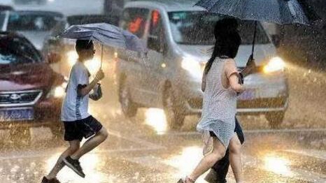 强雨狂风来袭 辽宁多地发布暴雨预警