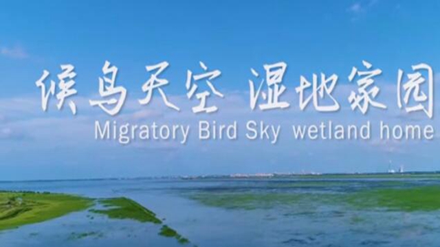 瀋陽臥龍湖濕地有多美？
