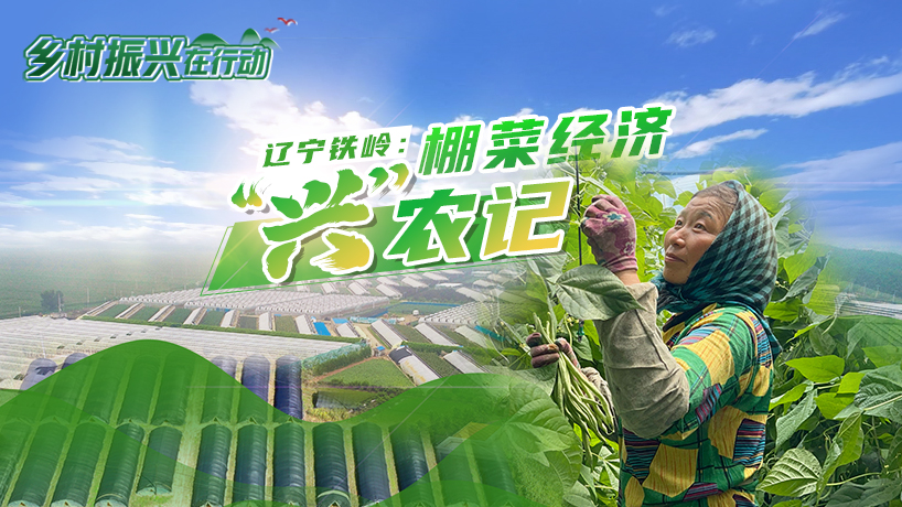 乡村振兴在行动|辽宁铁岭：棚菜经济“兴”农记