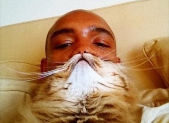 猫咪胡须照引模仿热潮